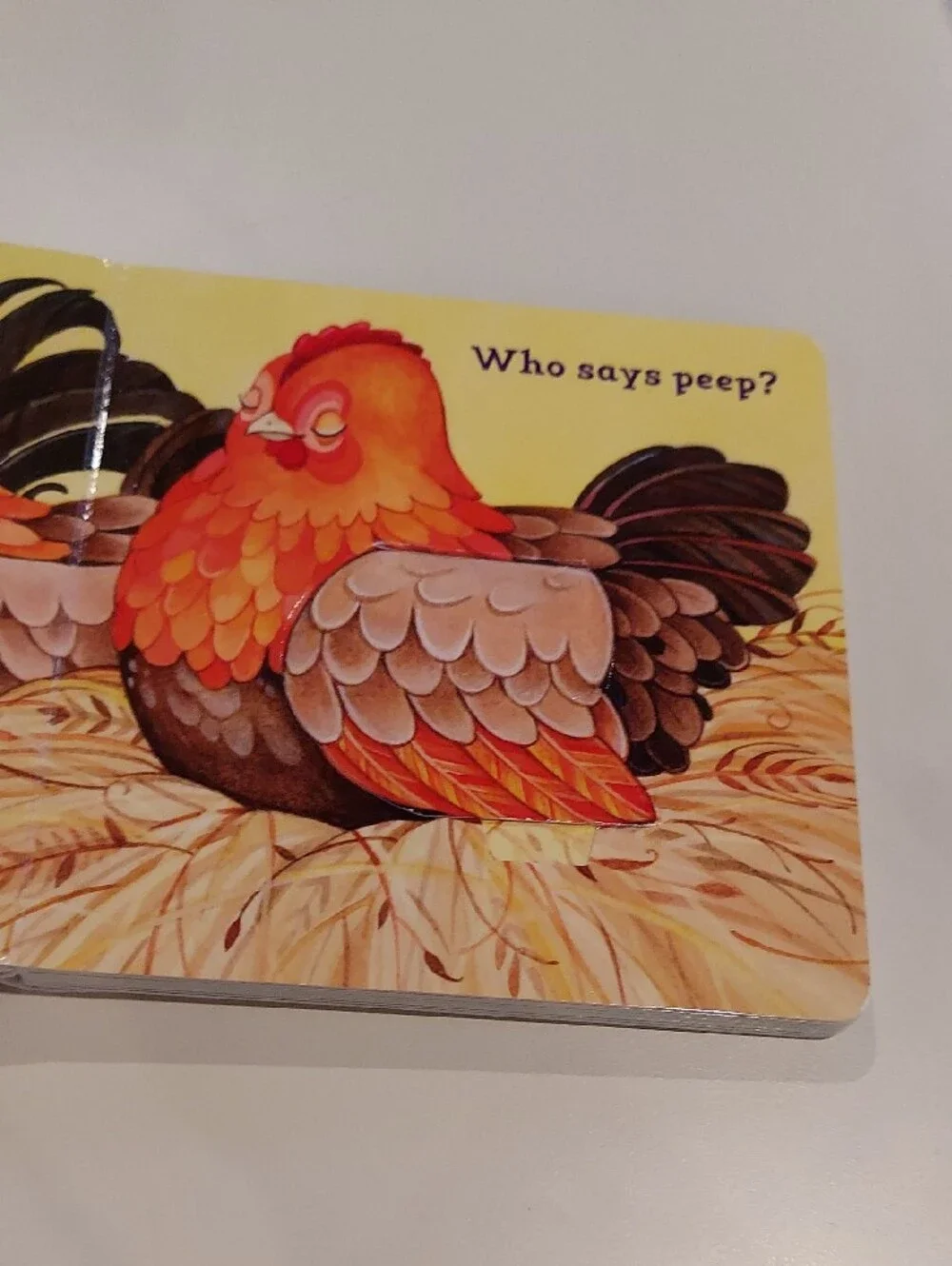 Open the Barn Door Interactive Baby Board Book